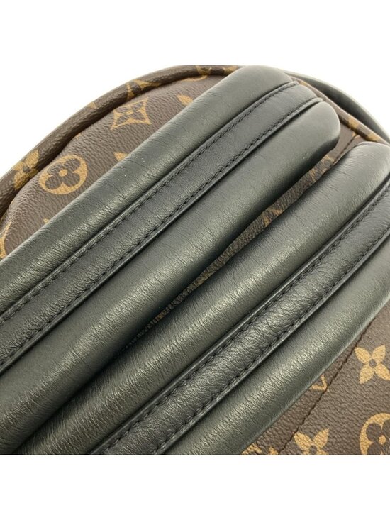 Louis Vuitton Monogram Palm Springs Backpack PM main image 10